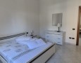 Pegasus - 