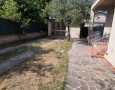 Pegasus - 