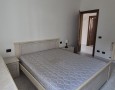 Pegasus - 