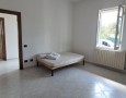 Pegasus - 