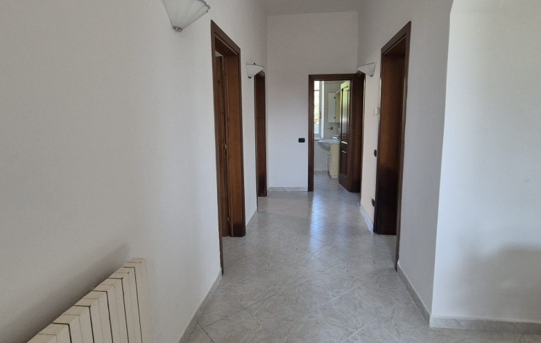 Agenzia Pegasus - 
