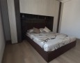Pegasus - 