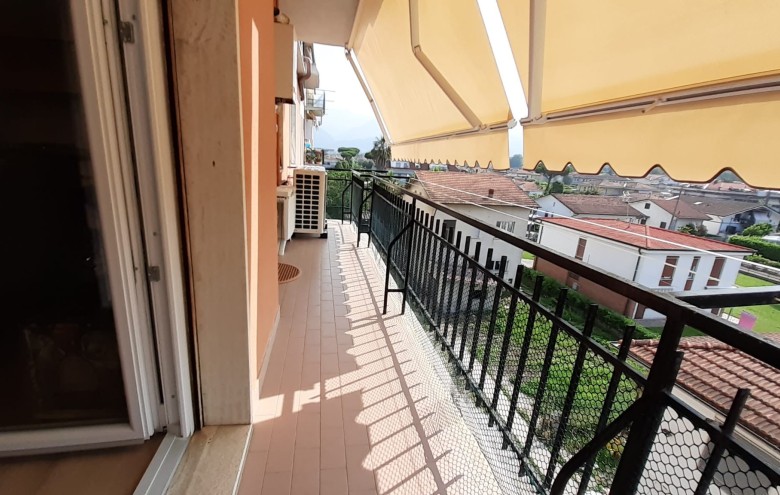 Agenzia Pegasus - 