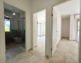 Pegasus - 