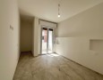 Pegasus - 