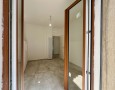 Pegasus - 