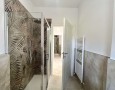Pegasus - 