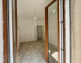Pegasus - 