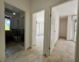 Pegasus - 