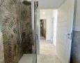 Pegasus - 