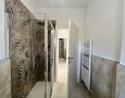 Pegasus - 