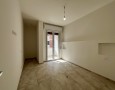 Pegasus - 