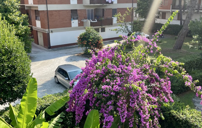 Agenzia Pegasus - 