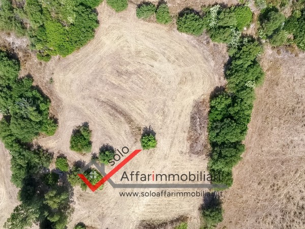 Riferimento TR129 - Terreno Agricolo in Vendita a Olbia