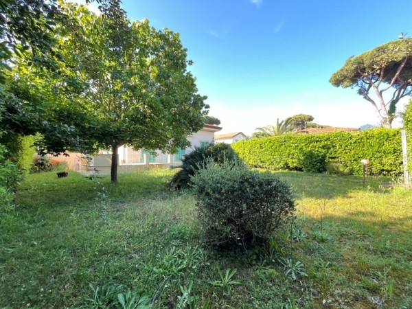 Riferimento SV631T - villa in Покупая и продавая in Pietrasanta - Marina Di Pietrasanta