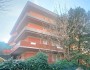 Marina di massa – centraliss