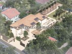 Villa Con Piscina in vendita, Forte Dei Marmi - Ponente -  1