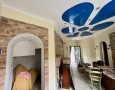 Pegasus - 
