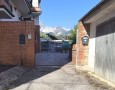Pegasus - 