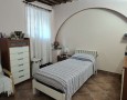 Pegasus - 