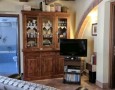 Pegasus - 