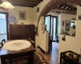 Pegasus - 