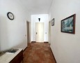 Pegasus - 