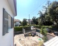 Pegasus - 