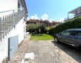 Pegasus - 