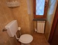 Pegasus - 