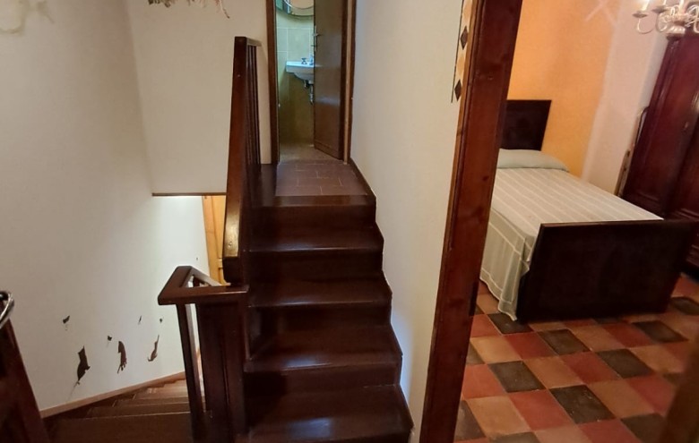 Agenzia Pegasus - 