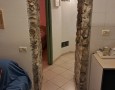 Pegasus - 