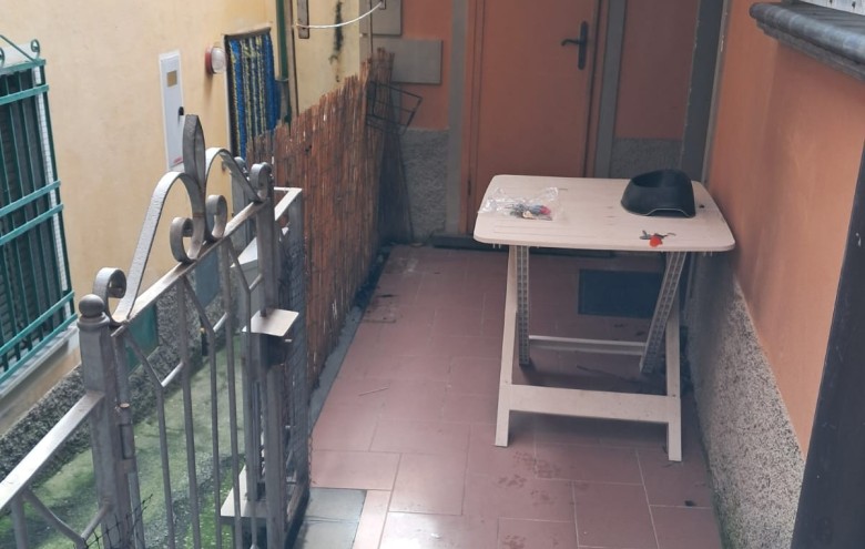 Agenzia Pegasus - 