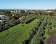 Giansereni Case - 