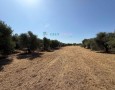 Giansereni Case - 