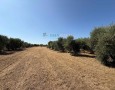 Giansereni Case - 