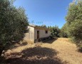 Giansereni Case - 