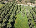 Giansereni Case - 