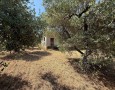 Giansereni Case - 