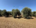 Giansereni Case - 