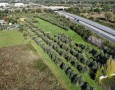 Giansereni Case - 
