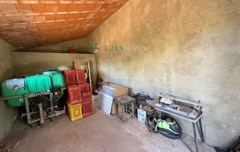 Agenzia Giansereni - 