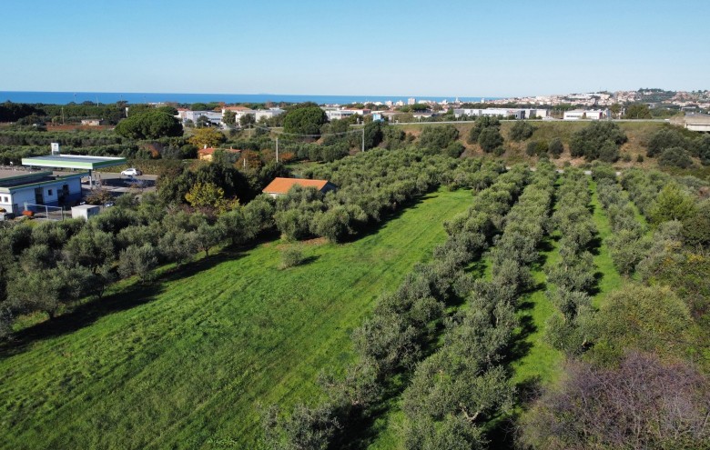 Agenzia Giansereni - 