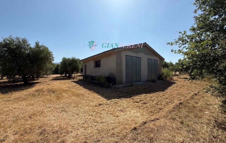 Agenzia Giansereni - 