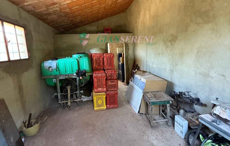 Agenzia Giansereni - 