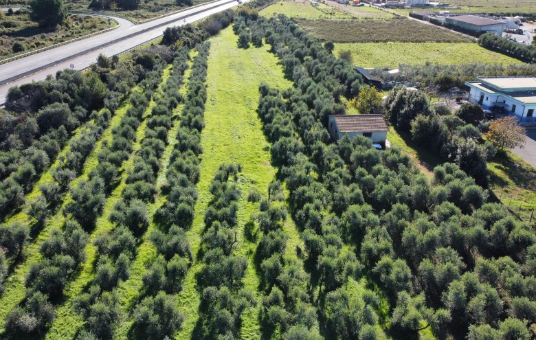 Agenzia Giansereni - 