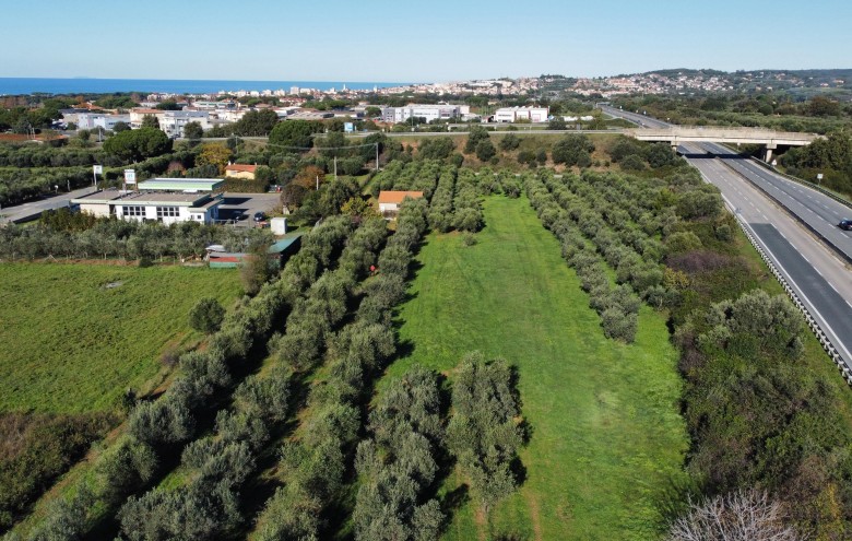 Agenzia Giansereni - 