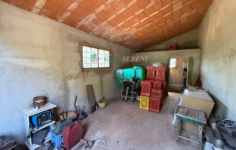 Agenzia Giansereni - 