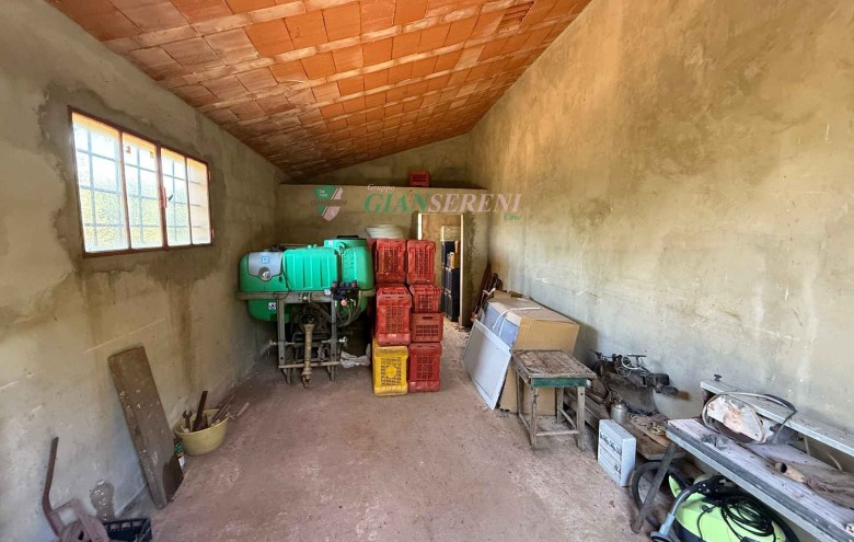 Agenzia Giansereni - 