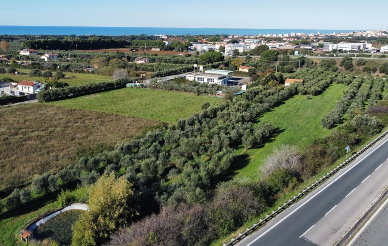 Agenzia Giansereni - 
